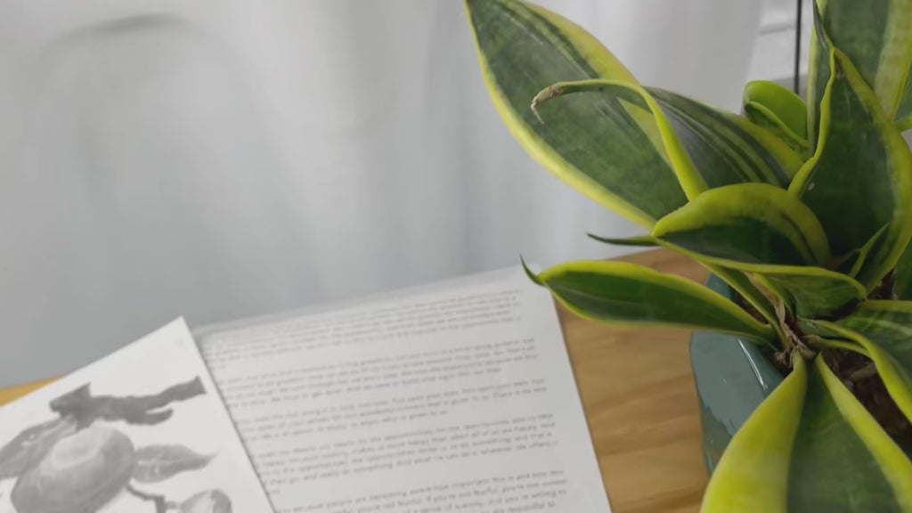 Mini Thermal Printer A4